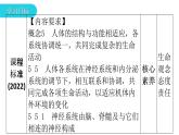 人教版七年级生物下册第六章第二节神经系统的组成课件