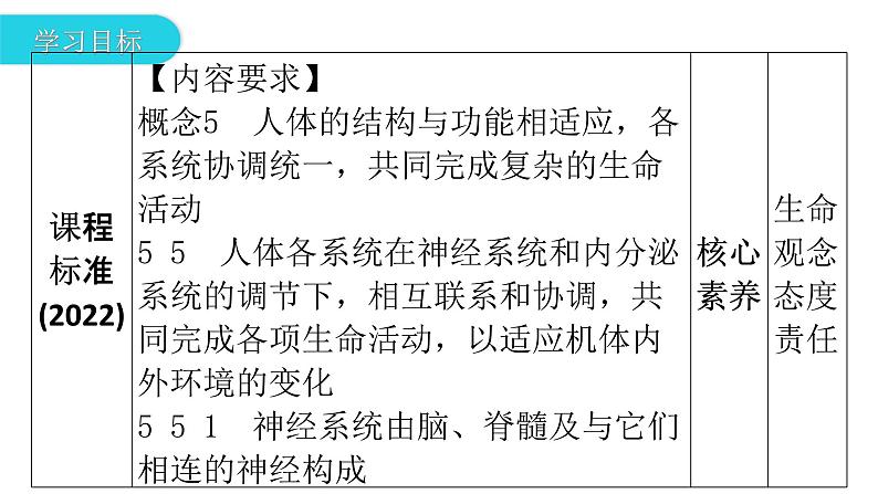 人教版七年级生物下册第六章第二节神经系统的组成课件03