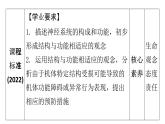 人教版七年级生物下册第六章第二节神经系统的组成课件