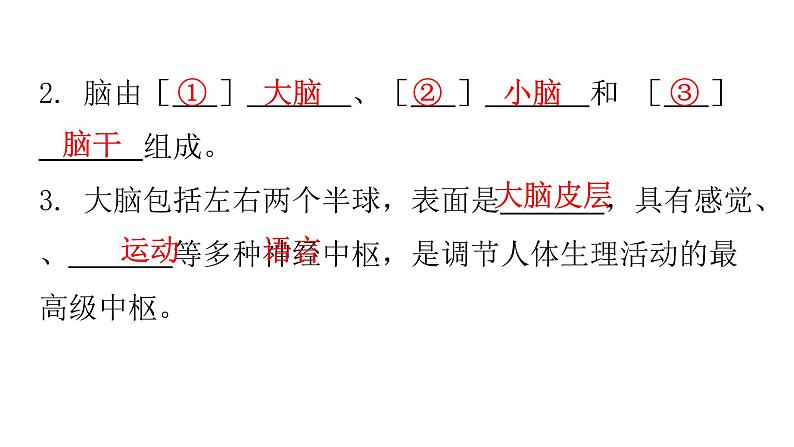 人教版七年级生物下册第六章第二节神经系统的组成课件07