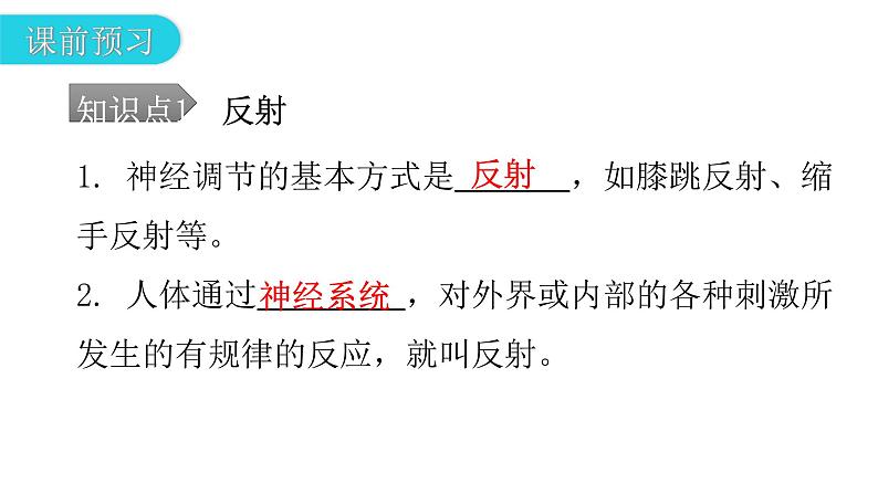 人教版七年级生物下册第六章第三节神经调节的基本方式课件第6页