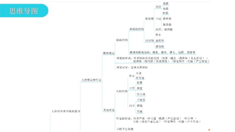 人教版七年级生物下册第六、第七章章末总结课件03