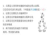 人教版七年级生物下册期末过关训练一课件
