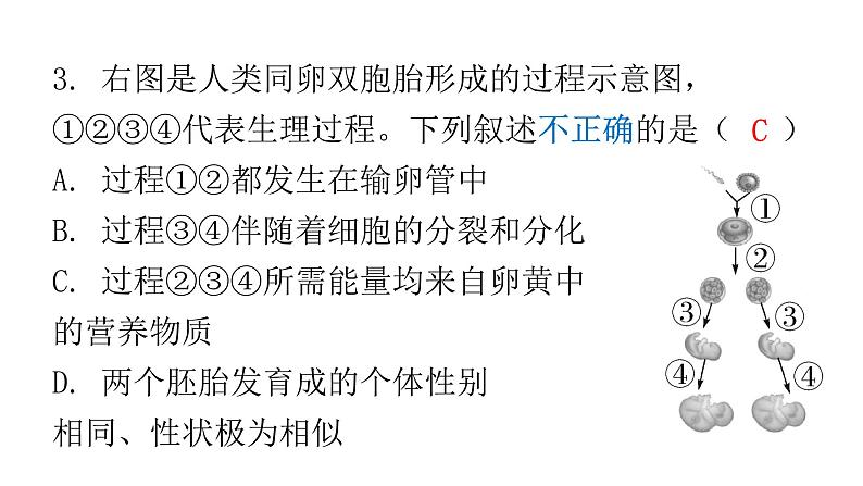 人教版七年级生物下册期末过关训练一课件04