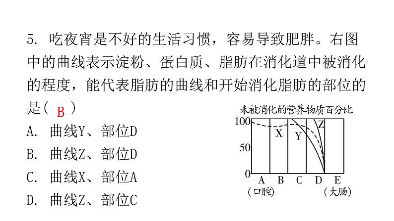 人教版七年级生物下册期末过关训练一课件07