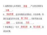 人教版七年级生物下册第一章人的由来练习课件