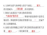 人教版七年级生物下册第三章人体的呼吸练习课件
