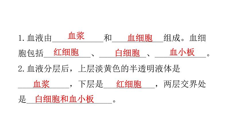 人教版七年级生物下册第四章人体内物质的运输练习课件第2页