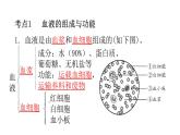 人教版七年级生物下册第四章人体内物质的运输练习课件