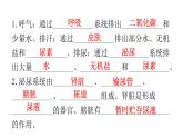 人教版七年级生物下册第五章人体内废物的排出练习课件
