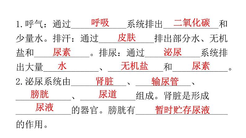 人教版七年级生物下册第五章人体内废物的排出练习课件第2页