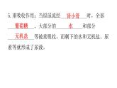 人教版七年级生物下册第五章人体内废物的排出练习课件