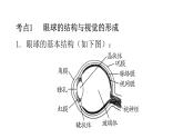 人教版七年级生物下册第六章人体生命活动的调节练习课件