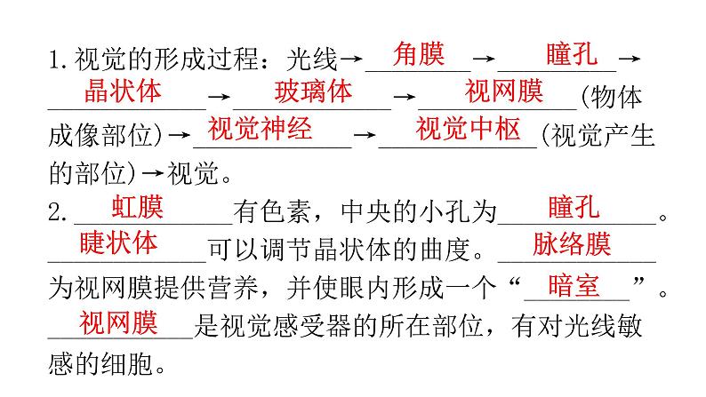 人教版七年级生物下册第六章人体生命活动的调节练习课件02