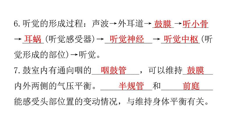 人教版七年级生物下册第六章人体生命活动的调节练习课件04