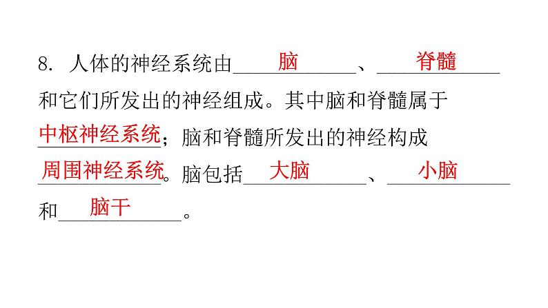 人教版七年级生物下册第六章人体生命活动的调节练习课件05