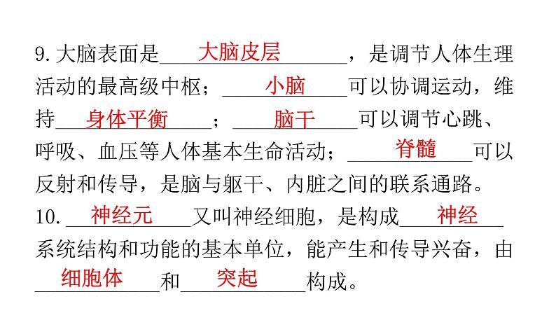 人教版七年级生物下册第六章人体生命活动的调节练习课件06