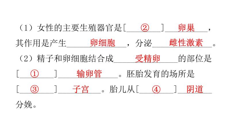 人教版七年级生物下册第一章人的由来课件03