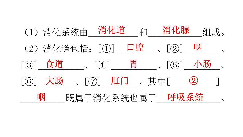 人教版七年级生物下册第二章人体的营养课件03