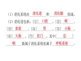 人教版七年级生物下册第二章人体的营养课件