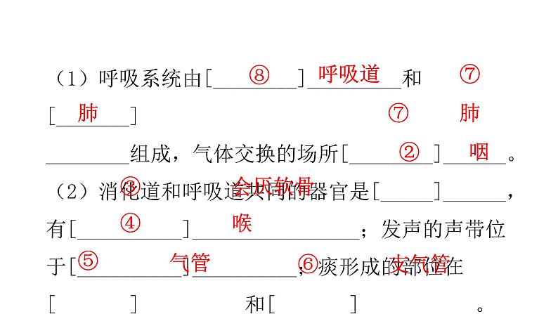 人教版七年级生物下册第三章人体的呼吸课件03