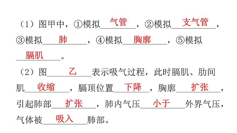 人教版七年级生物下册第三章人体的呼吸课件06