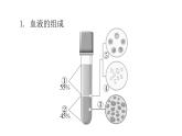 人教版七年级生物下册第四章人体内物质的运输课件