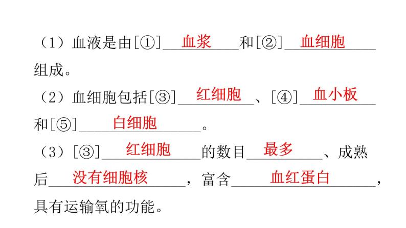 人教版七年级生物下册第四章人体内物质的运输课件03