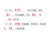 人教版七年级生物下册第四章人体内物质的运输课件