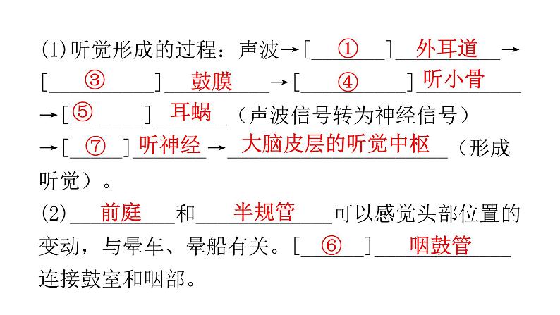 人教版七年级生物下册第六章人体生命活动的调节课件06