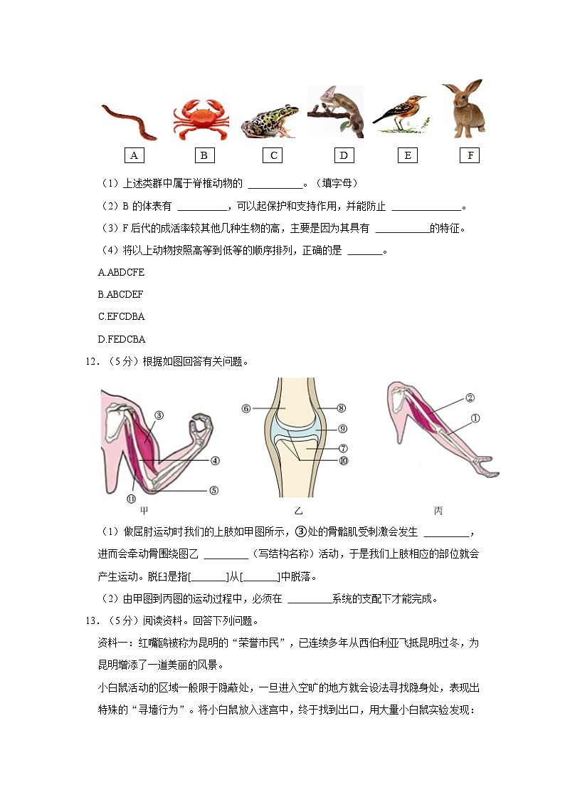 安徽省亳州市蒙城县汇贤中学2023-2024学年八年级上学期月考生物试卷（10月份）第3页