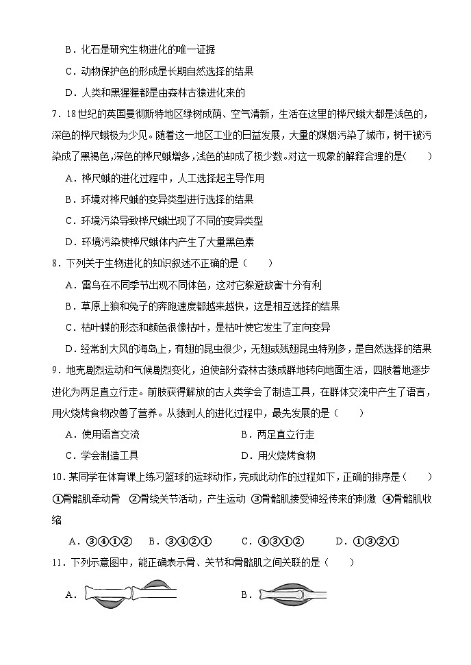 辽宁省沈阳市第十二中学2023-2024学年八年级上学期期中考试生物试题第2页