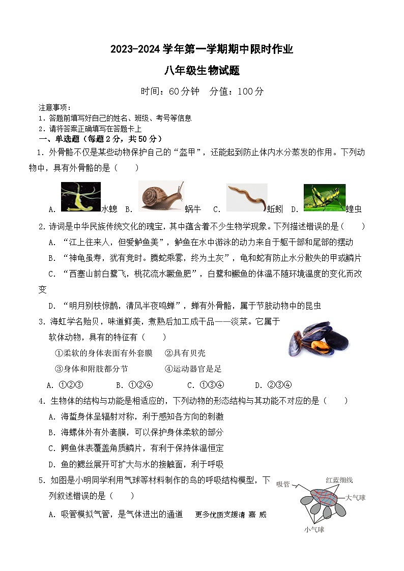 山东省东营市广饶县2023-2024学年八年级上学期期中生物试题01