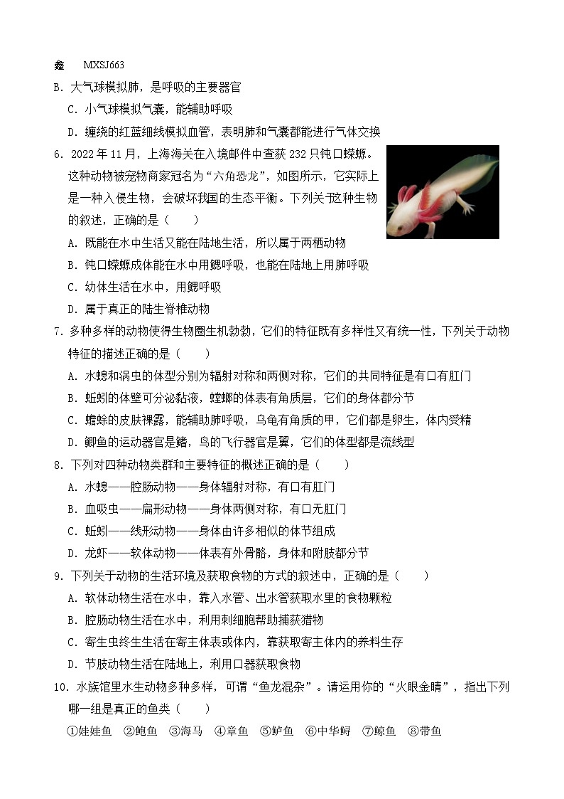 山东省东营市广饶县2023-2024学年八年级上学期期中生物试题02