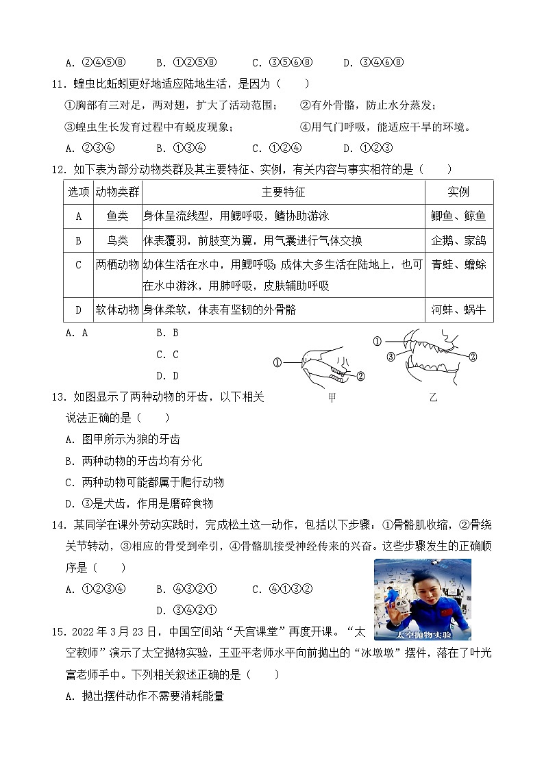 山东省东营市广饶县2023-2024学年八年级上学期期中生物试题03