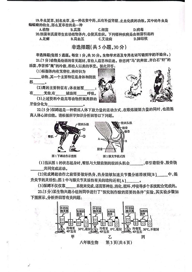 河南省焦作市温县2023-2024学年八年级上学期期中生物试题第3页