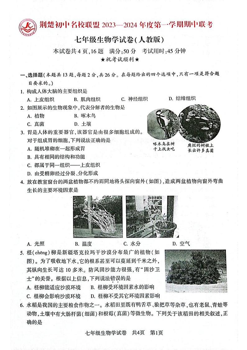 湖北省荆楚初中名校联盟2023-2024学年七年级上学期期中联考生物试题01
