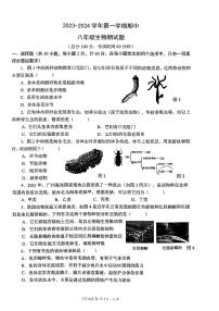 陕西省西安市高新区第三初级中学2023-2024学年八年级上学期期中生物试题