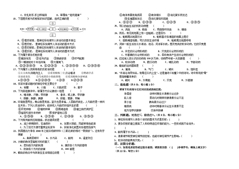 黑龙江省大庆市肇源县第四中学、第二中学、新站中学2023-2024学年七年级上学期期中生物试题02