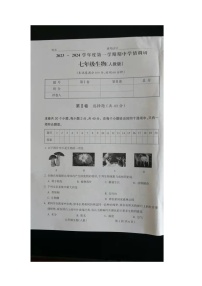 山西省朔州市右玉县右玉教育集团初中部2023-2024学年七年级上学期期中生物试题