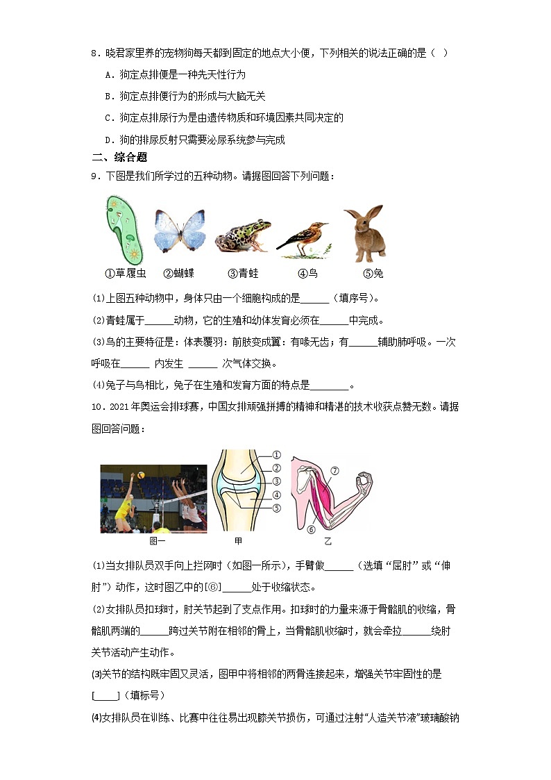 四川省达州市达川区四中联盟2023-2024学年八年级上学期期中生物试题第2页