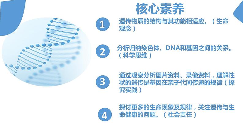 【核心素养】人教版八年级下册7.2.2《基因在亲子代之间传递》课件＋课时练习＋教案（含教学反思）02