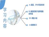 【核心素养】人教版八年级下册7.2.2《基因在亲子代之间传递》课件＋课时练习＋教案（含教学反思）