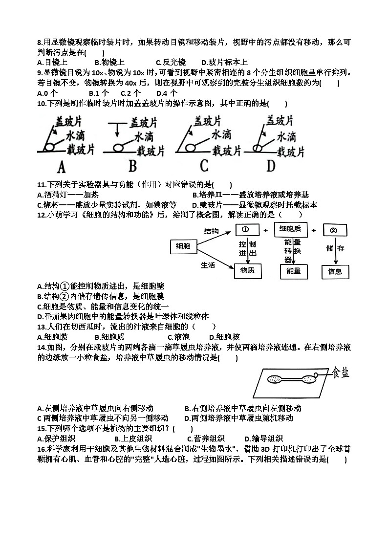 山东省济南市天桥区2023-2024学年七年级上学期期中生物考试试题02
