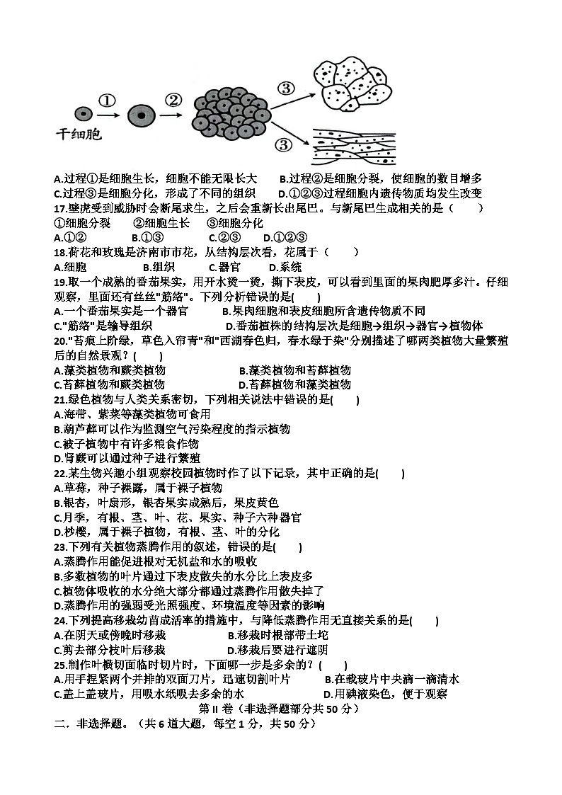 山东省济南市天桥区2023-2024学年七年级上学期期中生物考试试题03