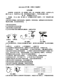 山东省济南市天桥区2023-2024学年八年级上学期期中生物考试试题