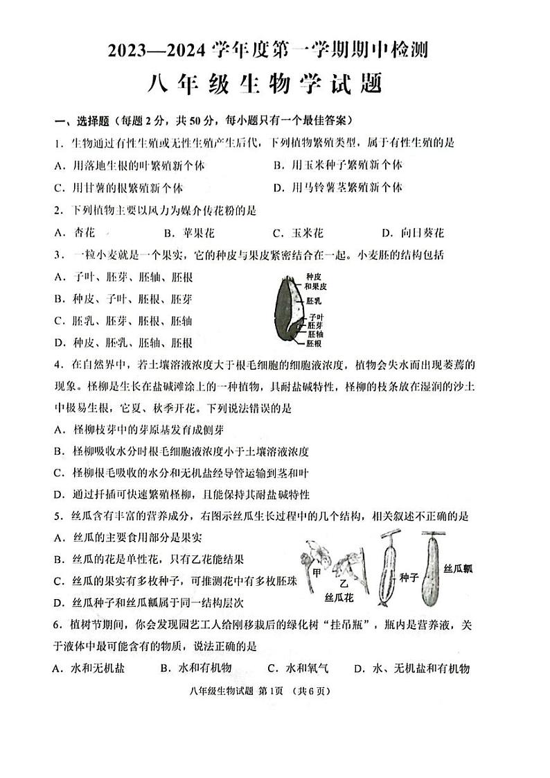 山东省济宁市邹城市2023-2024学年八年级上学期期中检测生物试题第1页