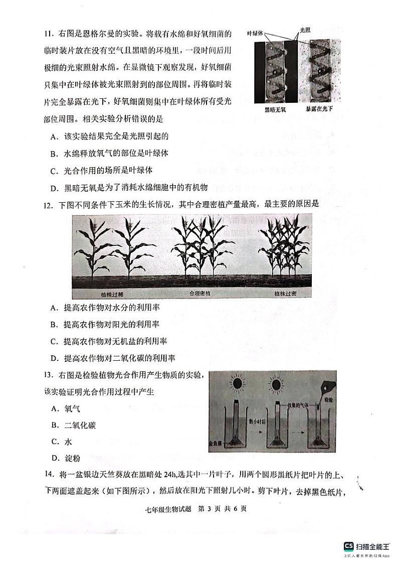 江苏省连云港市灌云县2023-2024学年七年级上学期期中生物试题第3页