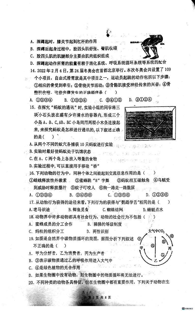 湖南省株洲市二中2023--2024学年八年级上学期期中生物学科素养检测卷第3页
