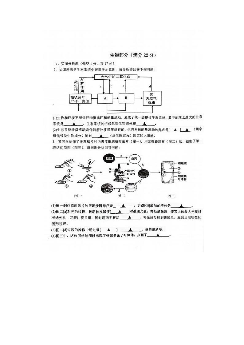四川省泸州市龙马潭区四校联考2023-2024学年九年级上学期期中生物学试题02